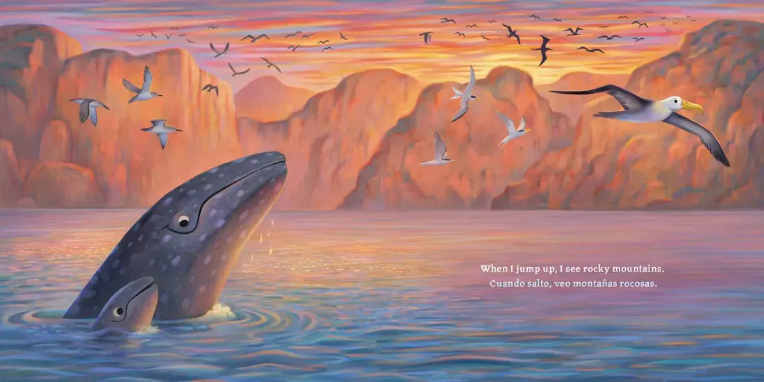 Baby Ballena (Bilingual English-Spanish Edition) US - Hardback