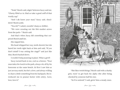 Mr. Whiskers and the Shenanigan Sisters US - Hardback