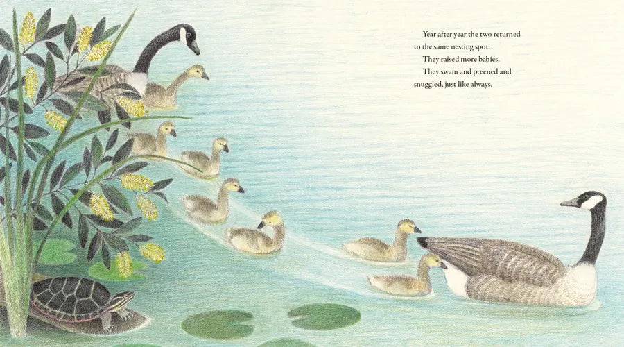 The Lonely Goose US - Hardback (9780593647554)