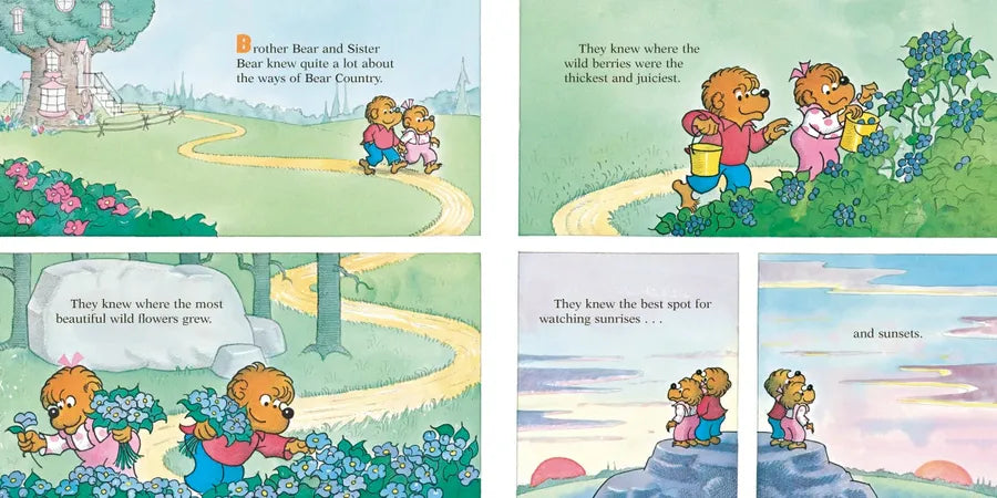 Let's Talk About Money (Berenstain Bears) US - Paperback / softback