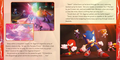 Sonic vs. New Yoke City US - Paperback / softback