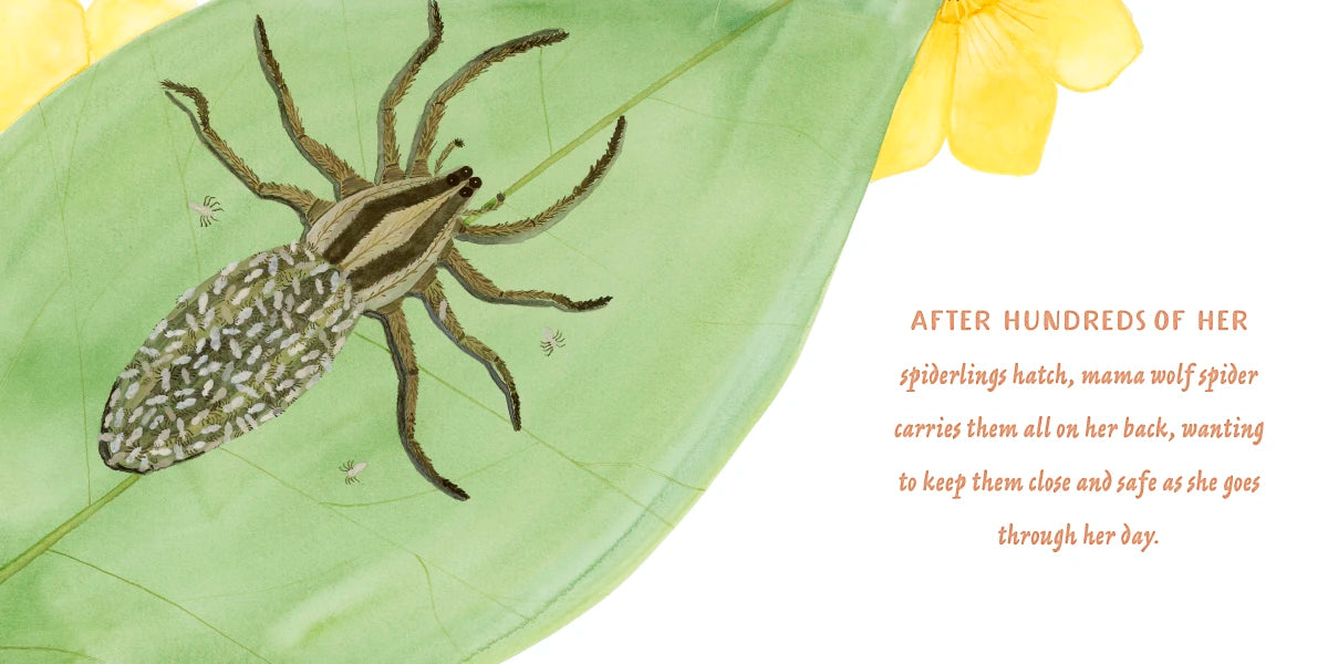 Mamas and Babies US - Hardback