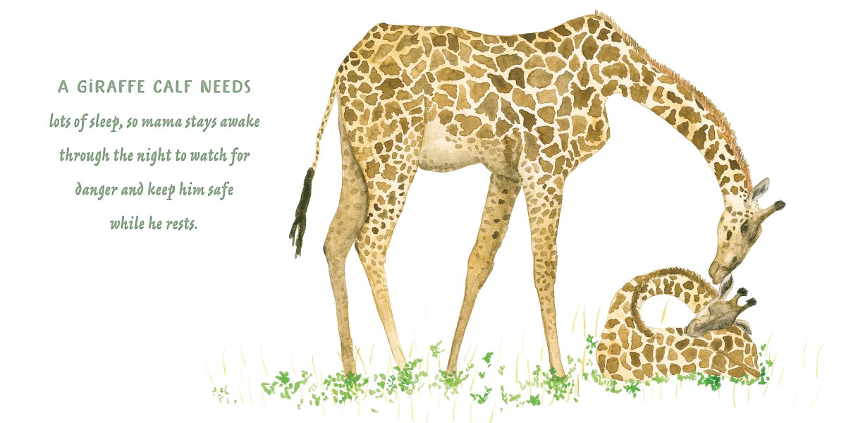 Mamas and Babies US - Hardback