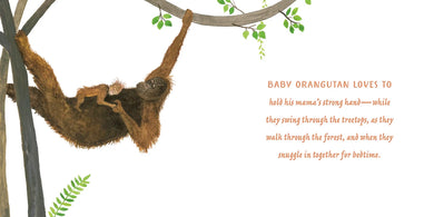 Mamas and Babies US - Hardback