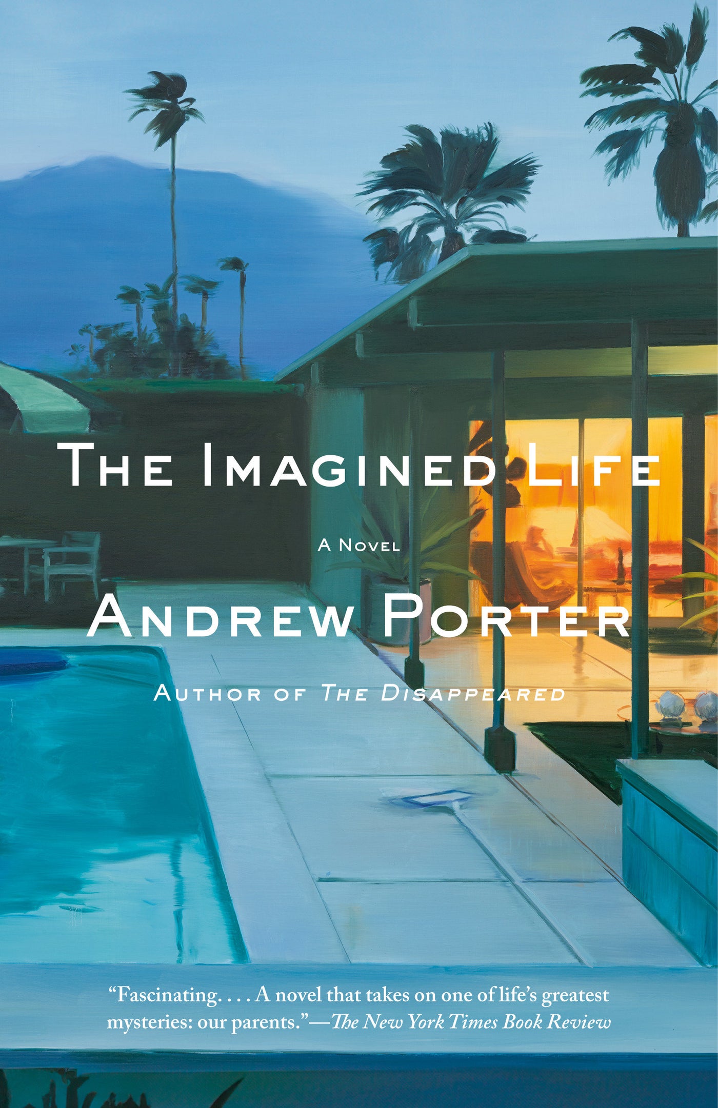 The Imagined Life