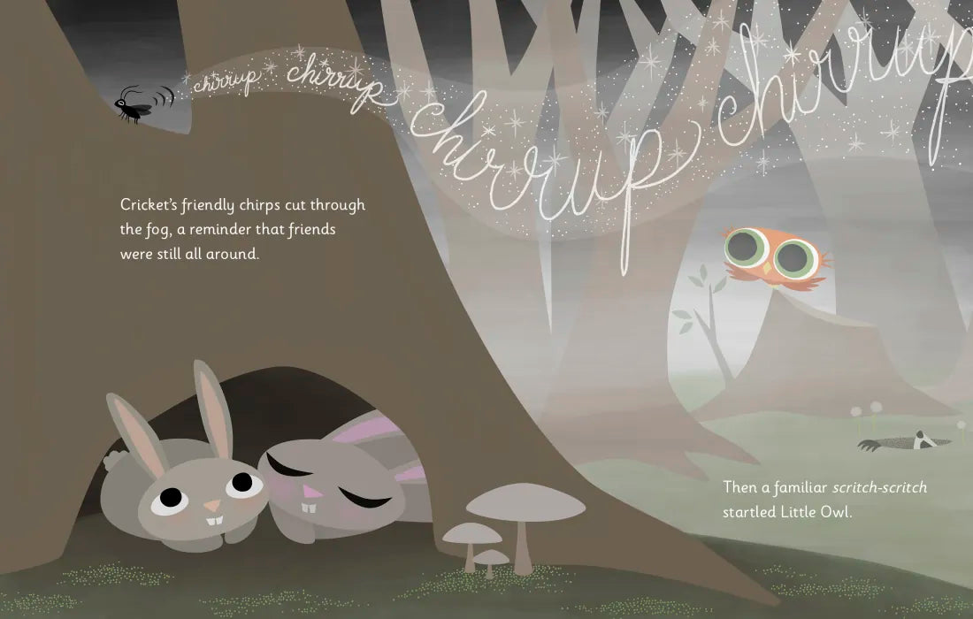 Little Owl's Fog US - Hardback