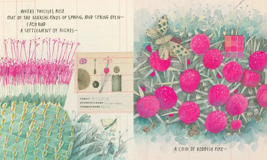 Goldfinches US - Hardback