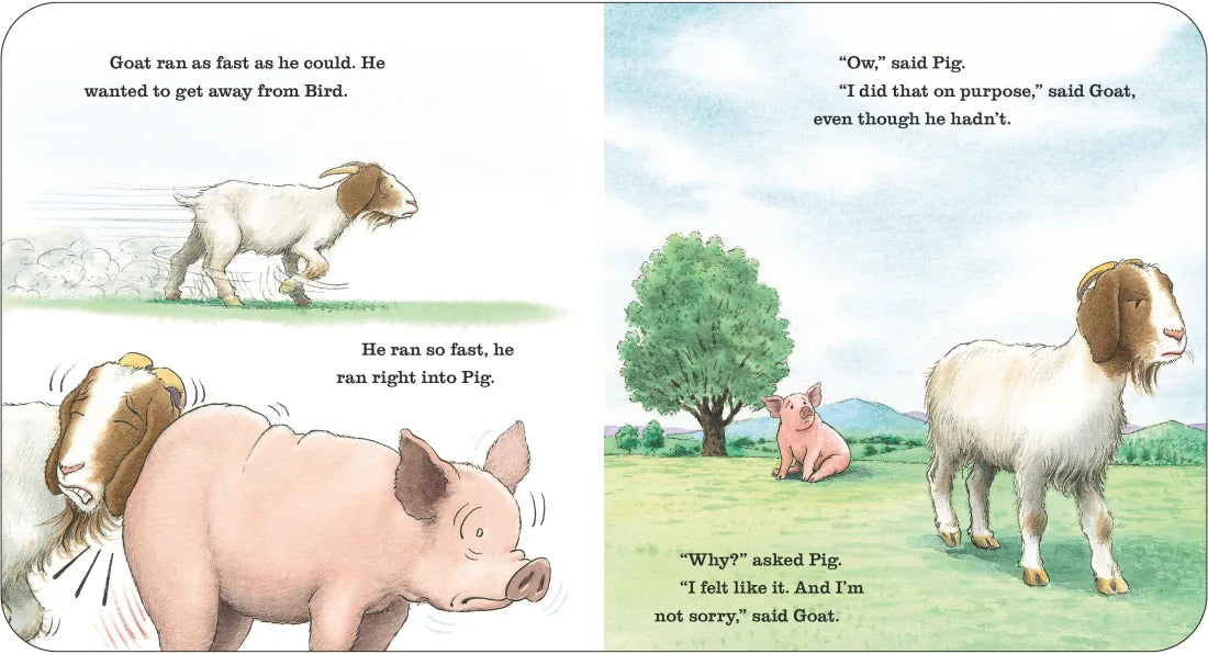 Sorry (Really Sorry) US - Board book