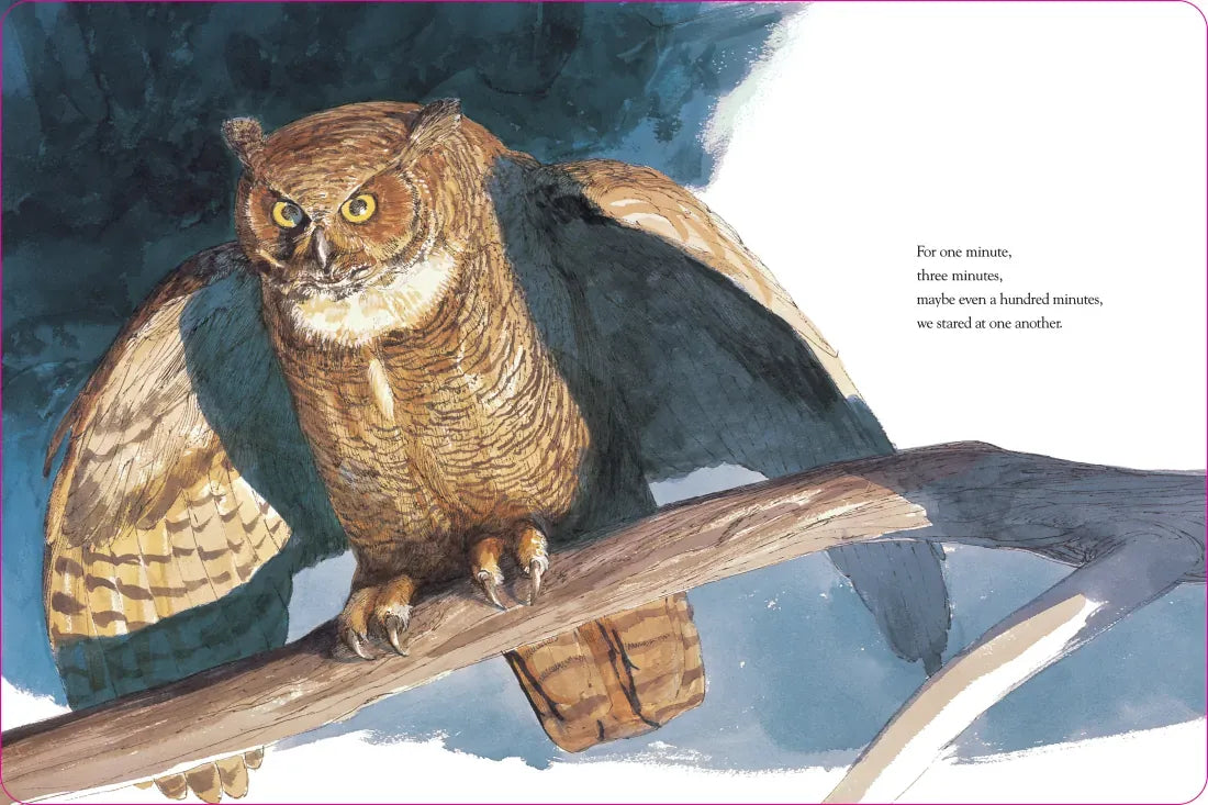 Owl Moon US - Board book