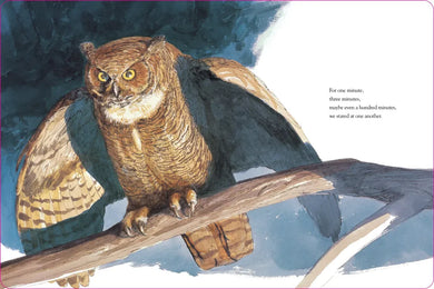 Owl Moon US - Board book