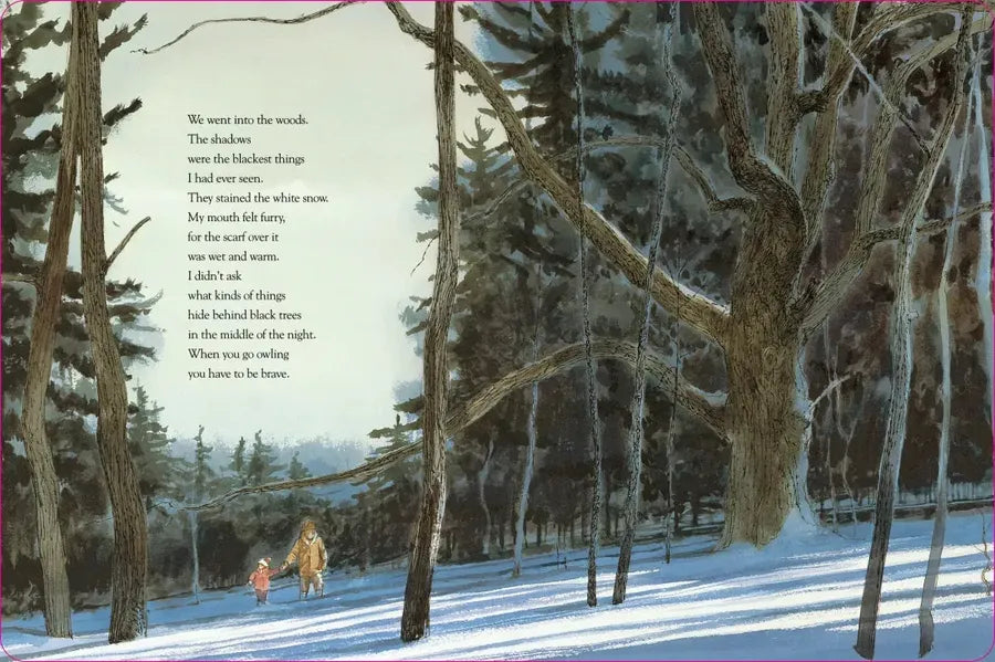 Owl Moon US - Board book