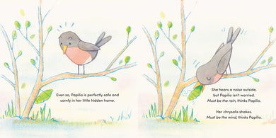 Papilio US - Hardback