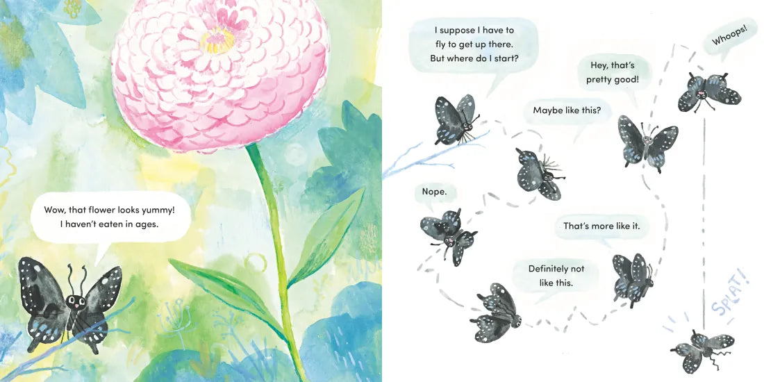 Papilio US - Hardback
