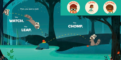 You Are a Raccoon! US - Board book