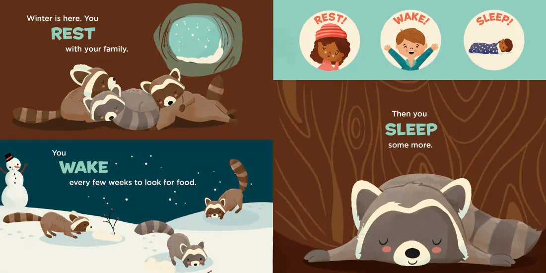 You Are a Raccoon! US - Board book