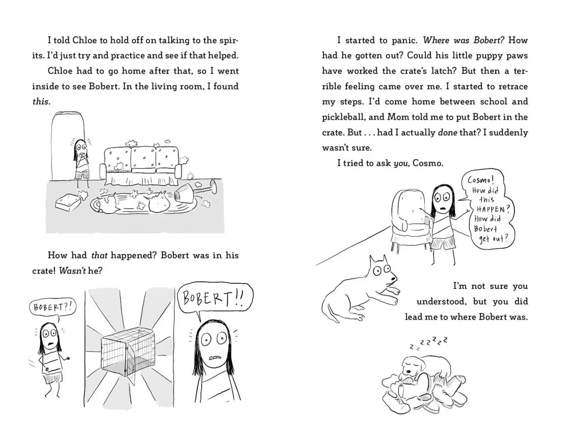 Penny Draws a Team Sport US - Hardback