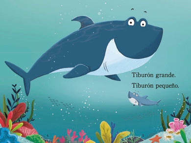Tiburón grande, tiburón pequeño van a la escuela (Big Shark, Little Shark Go to School) interior 1 (ISBN 9780593711712)