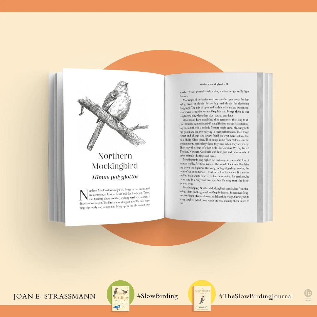 The Slow Birding Journal US - Paperback / softback
