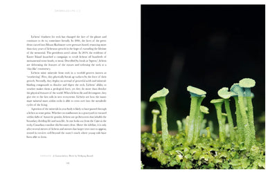 Entangled Life: The Illustrated Edition US - Hardback