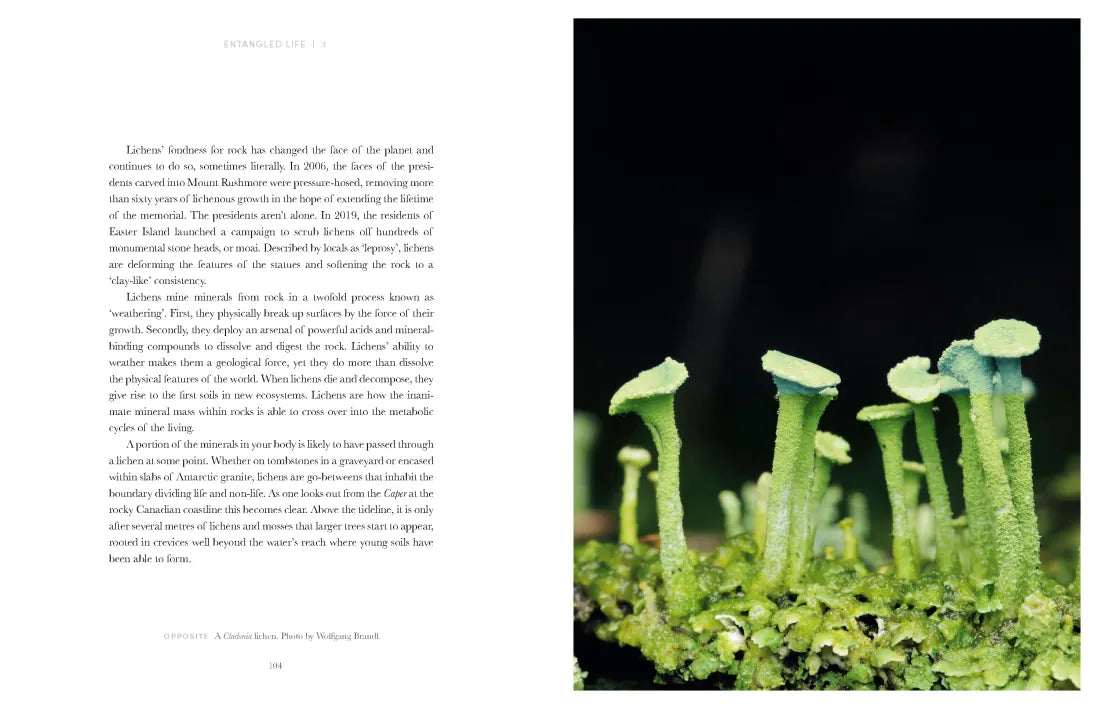 Entangled Life: The Illustrated Edition US - Hardback