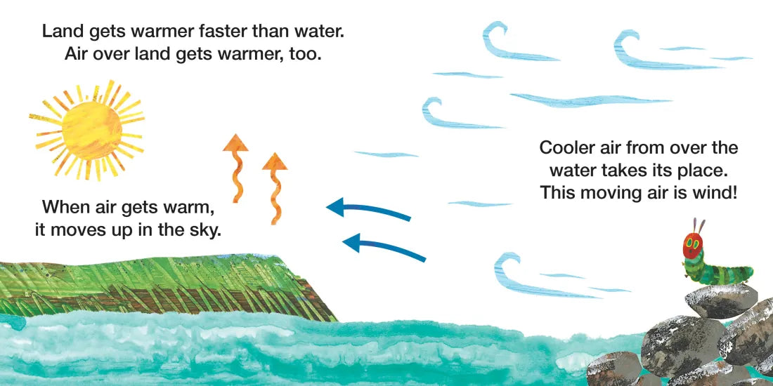 Why Does the Wind Blow? US - Board book