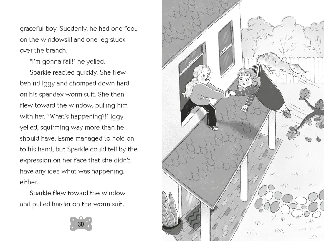 Sparkle and Iggy Take Flight #2 US - Paperback / softback