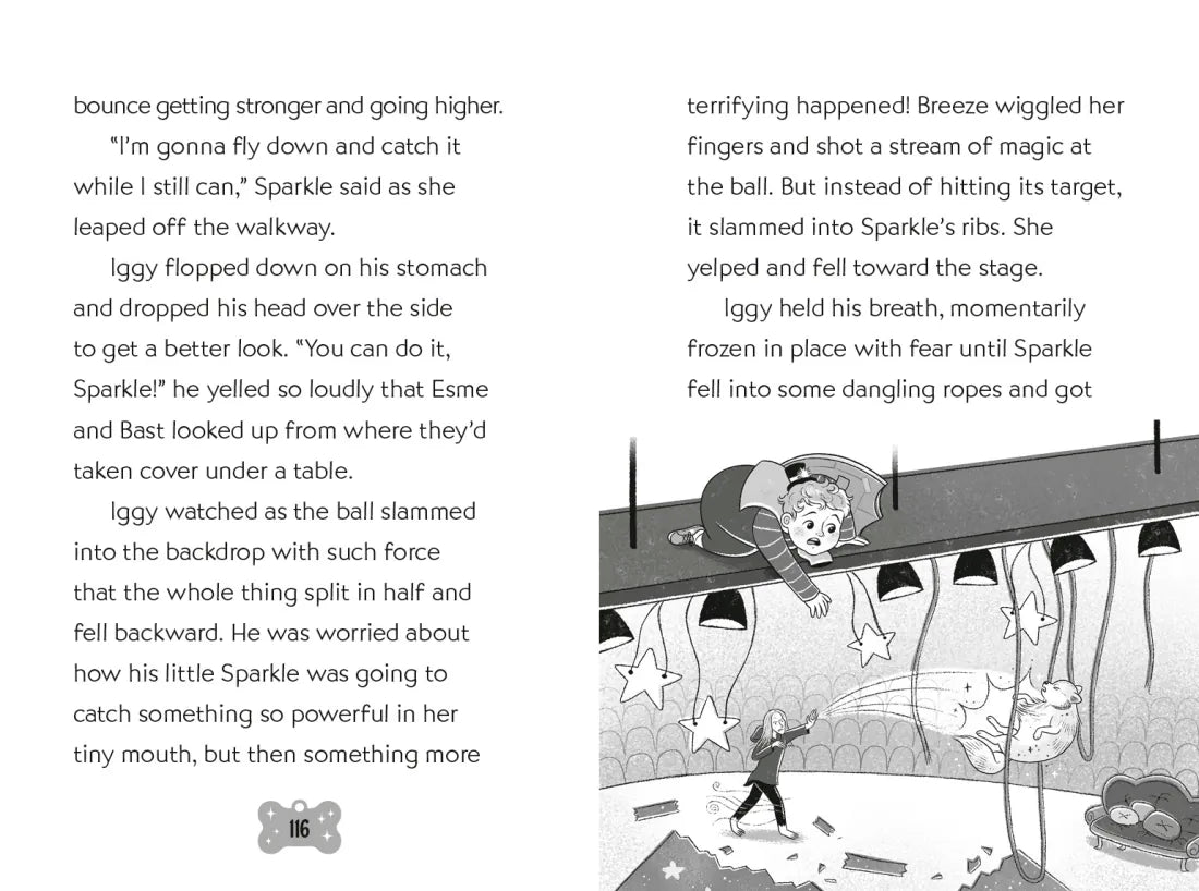 Sparkle and Iggy Take Flight #2 US - Paperback / softback