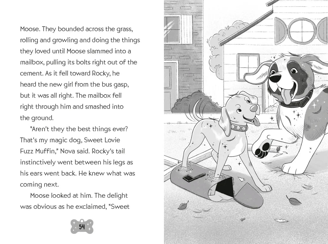 Rocky and Nova Don't Need Doors #3 US - Paperback / softback