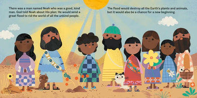 Noah and the Flood US - Board book