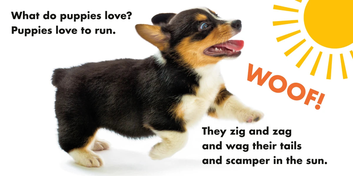 What Do Puppies Love? US - Board book