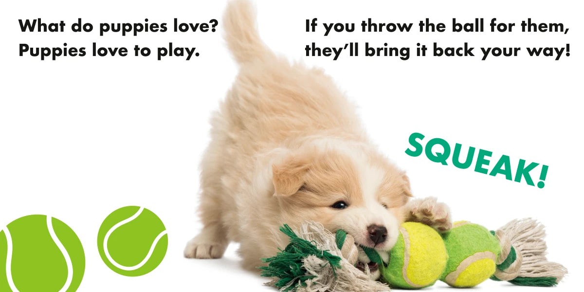 What Do Puppies Love? US - Board book