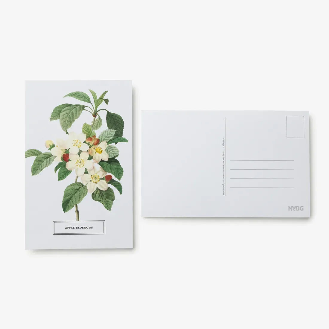 New York Botanical Garden: In Full Bloom Postcards US - Cards