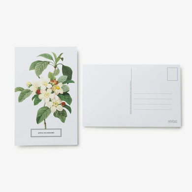 New York Botanical Garden: In Full Bloom Postcards US - Cards