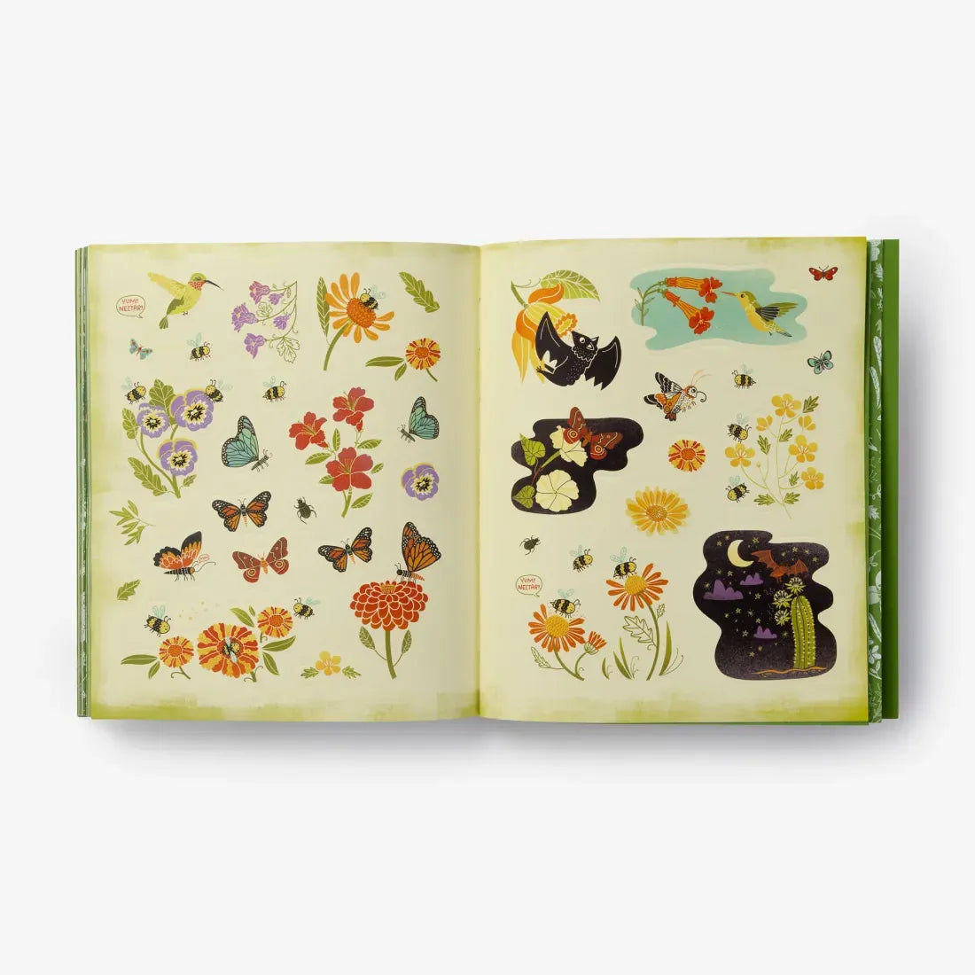 What's Inside a Garden? Stickerology US - Paperback / softback