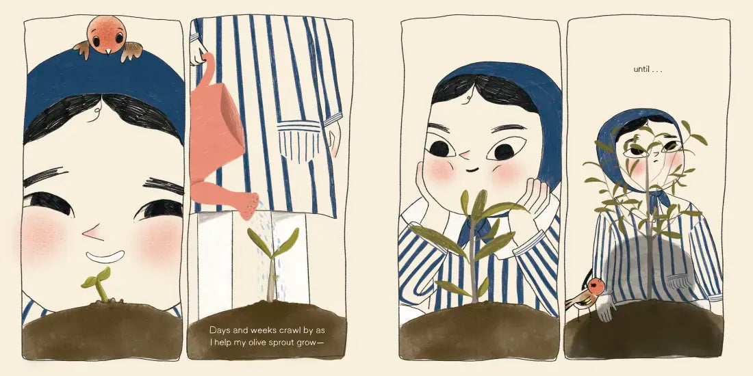 My Olive Tree US - Hardback (9780593810224)