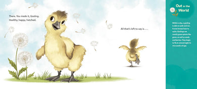 How to Hatch US - Hardback (9780593811061)
