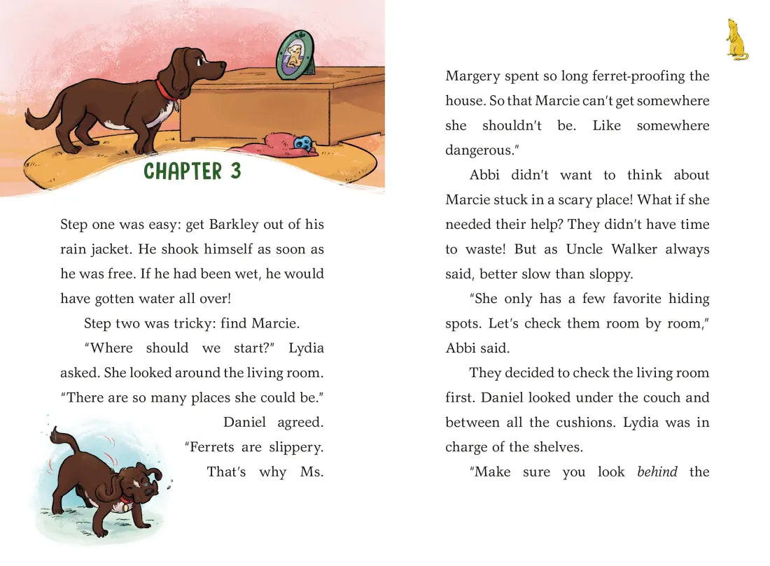 A to Z Animal Mysteries #6: Find That Ferret! US - Hardback