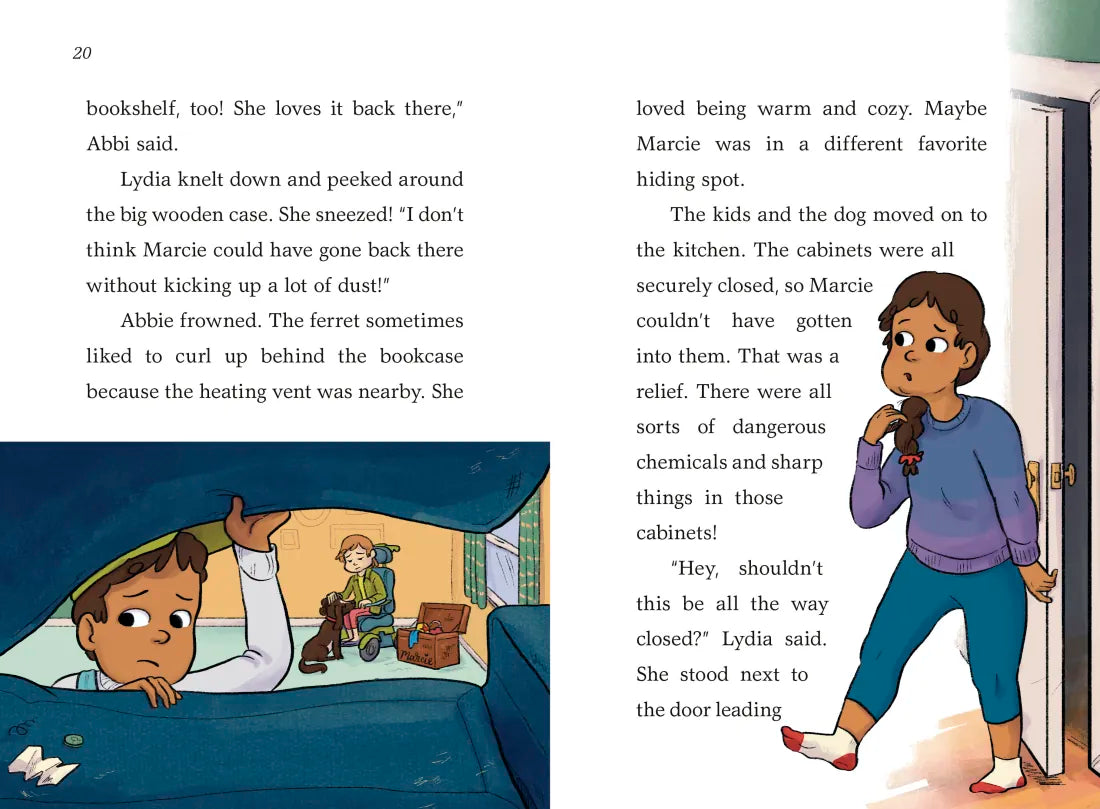 A to Z Animal Mysteries #6: Find That Ferret! US - Hardback