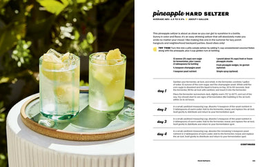 Hard Seltzer, Iced Tea, Kombucha, and Cider US - Hardback