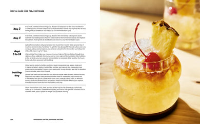 Hard Seltzer, Iced Tea, Kombucha, and Cider US - Hardback