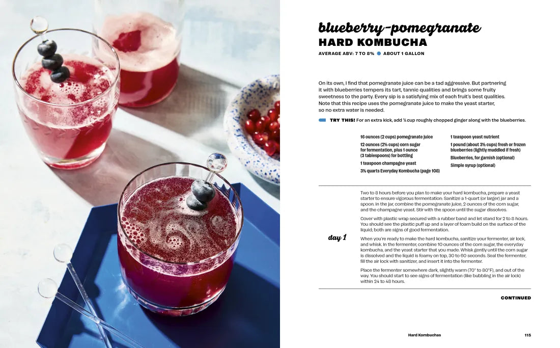 Hard Seltzer, Iced Tea, Kombucha, and Cider US - Hardback