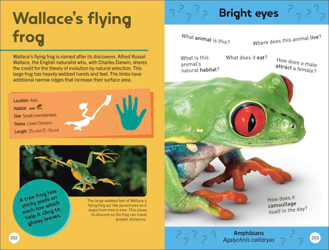 Quiz Yourself Clever! Animals of the World US - Paperback / softback