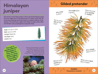 Quiz Yourself Clever! Trees of the World US - Paperback / softback