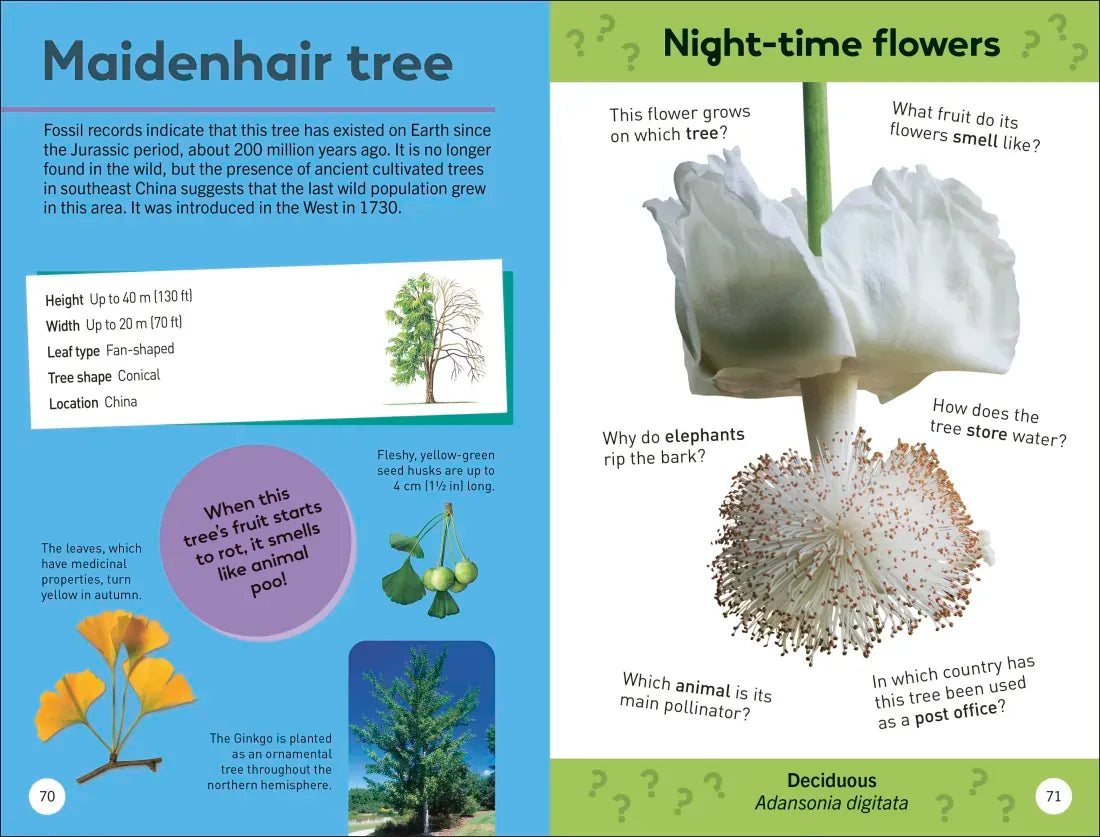 Quiz Yourself Clever! Trees of the World US - Paperback / softback