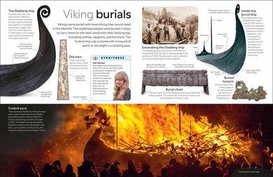 Eyewitness Viking US - Hardback