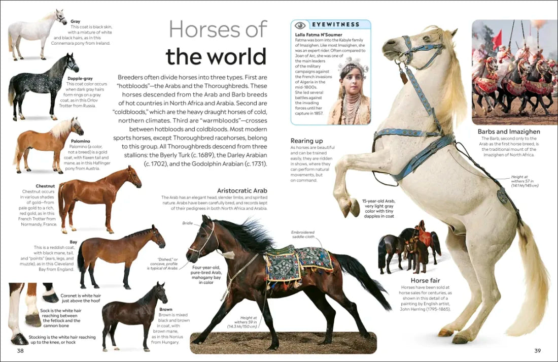 Eyewitness Horse US - Paperback / softback