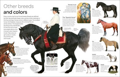 Eyewitness Horse US - Paperback / softback