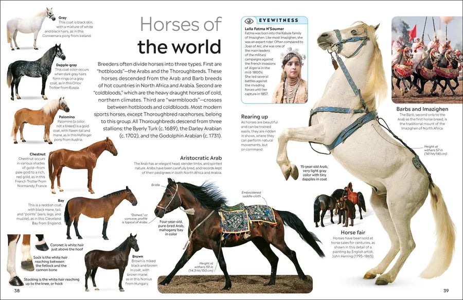 Eyewitness Horse US - Hardback