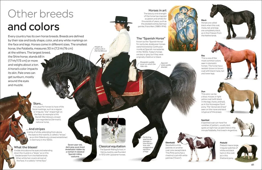 Eyewitness Horse US - Hardback