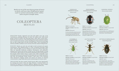 Insects US - Hardback